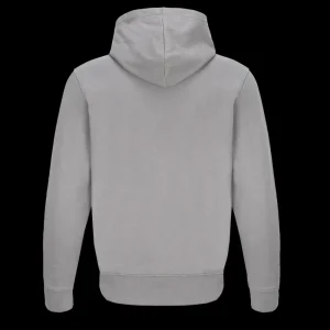 Scania Men's Stone Grey Base Zip Hoodie Hot