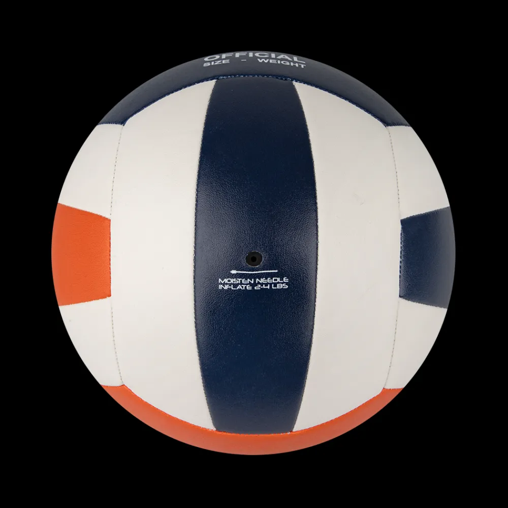 volleyball_2.webp Scania Volleyball Clearance